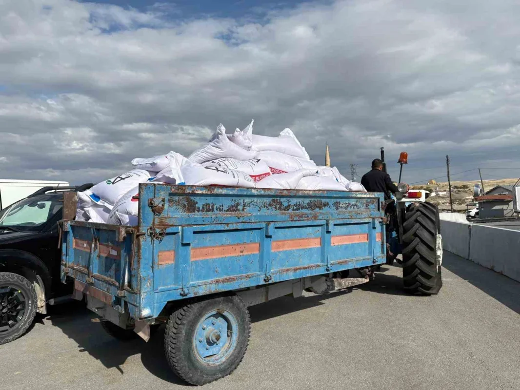 Sincan Belediyesi'nden çiftçilere yüzde 75 hibeli buğday tohumu