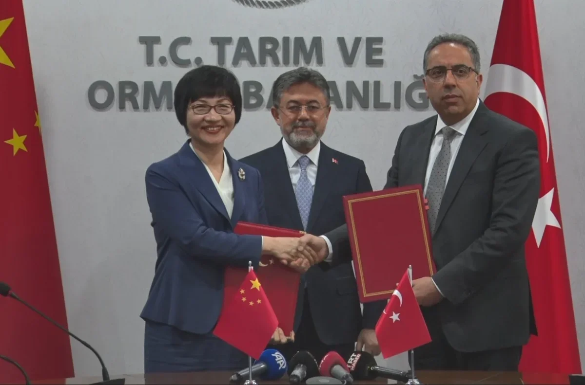 Defne yaprağı ihracatında Çin'le yeni dönem: 60 milyon dolar