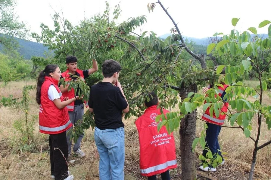 Bakan Göktaş: COP31 öncesi çocuk hakları çalışmalarına destek