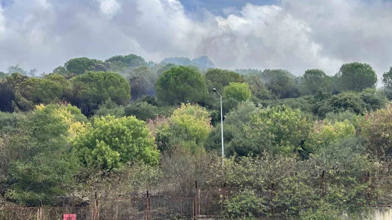 Maltepe'de ormanlık alanda yangın: Alevler kışlaya sıçradı