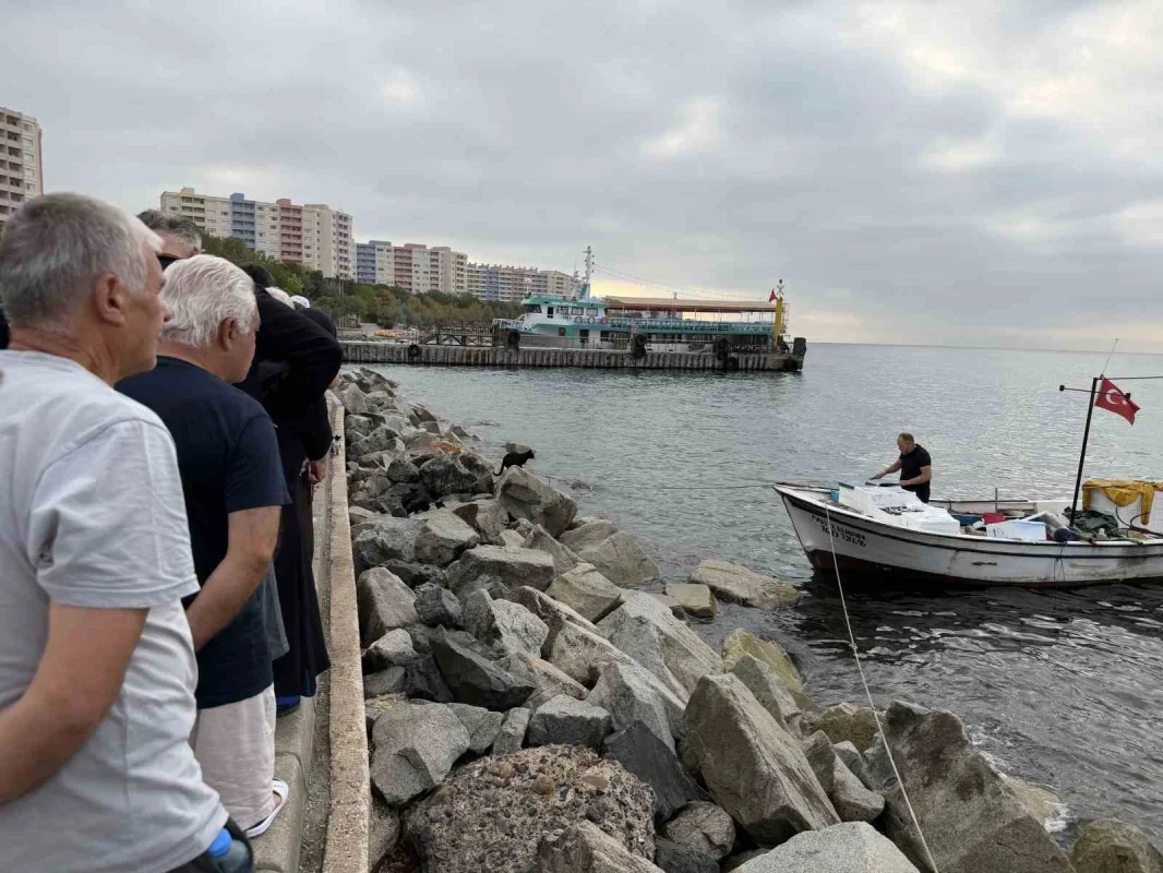 Armutlu'da tatil köyünde taze balık kuyruğu oluştu