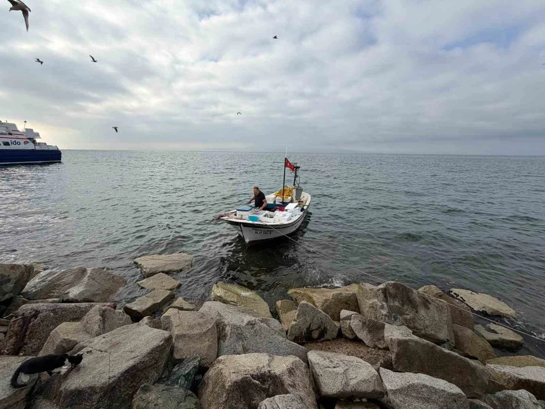 Armutlu'da tatil köyünde taze balık kuyruğu oluştu