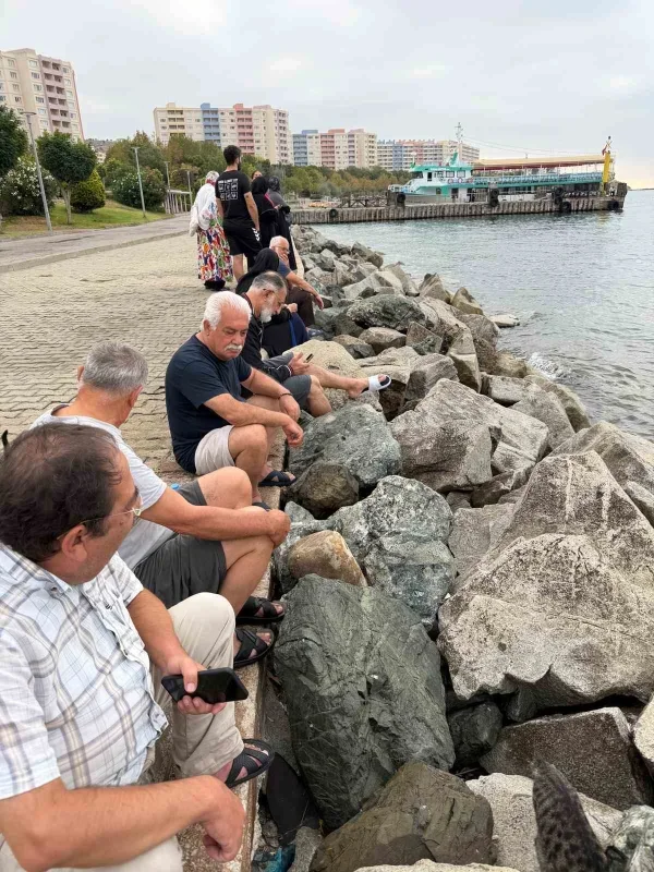 Armutlu'da tatil köyünde taze balık kuyruğu oluştu