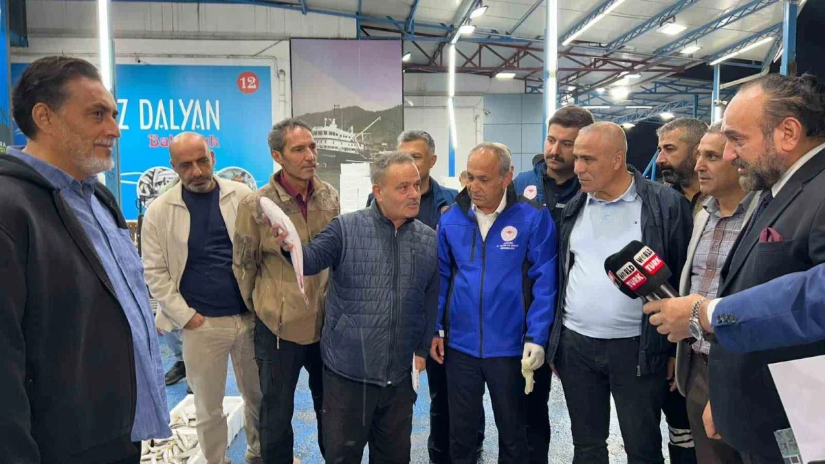Ankara Balık Hali'nde palamut ve hamsi bolluğu denetlendi