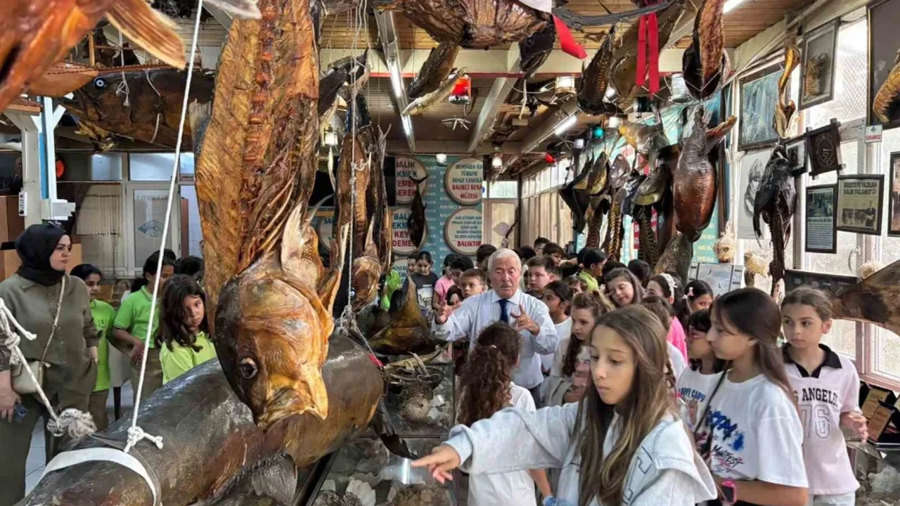 Türkiye Deniz Canlıları Müzesi'nde öğrenciler ilk derse girdi