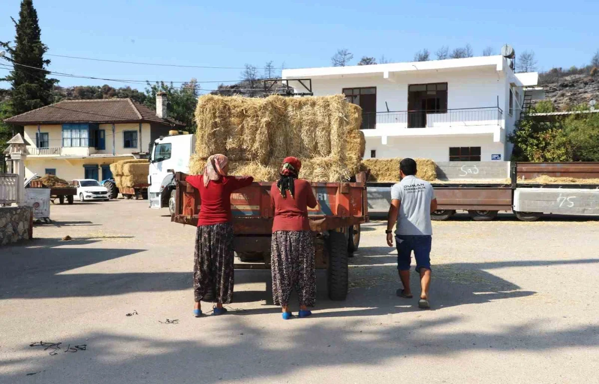 Aksu'da yangın mağduru hayvancılara saman desteği başladı