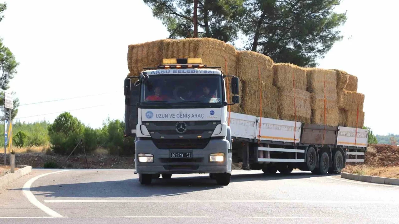 Aksu'da yangın mağduru hayvancılara saman desteği başladı
