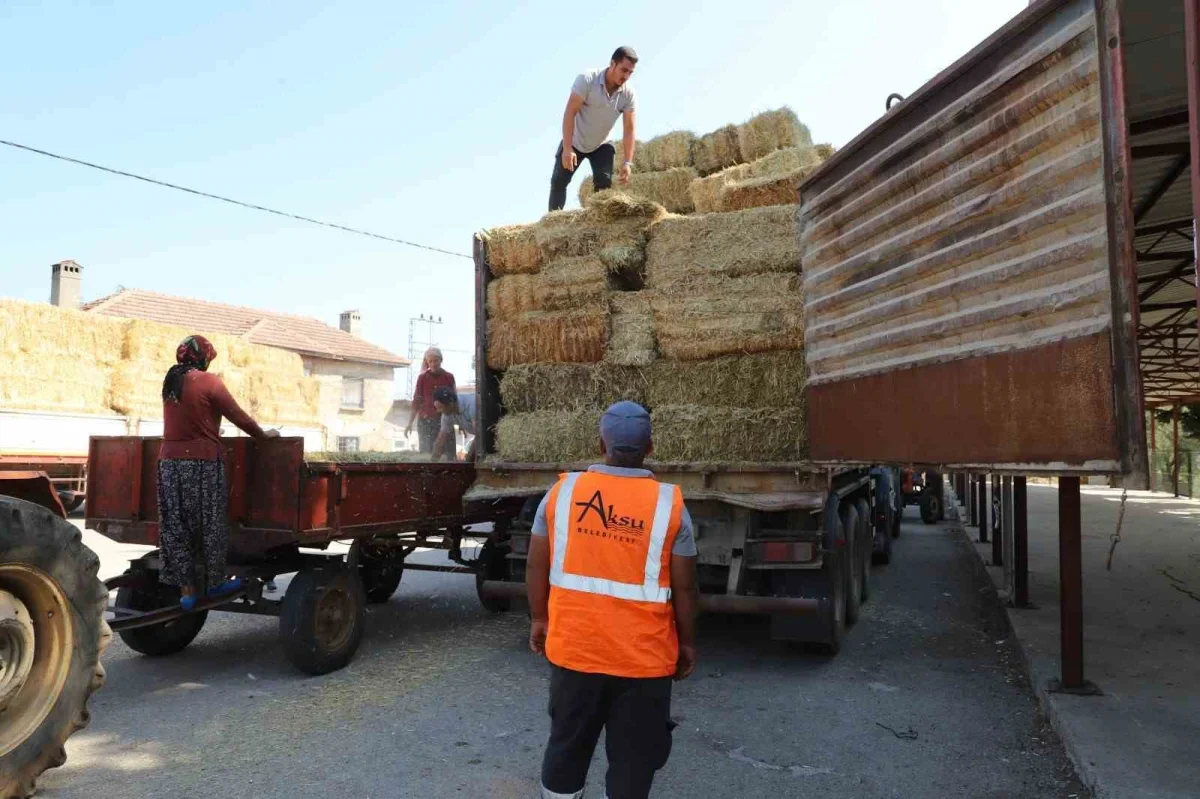 Aksu'da yangın mağduru hayvancılara saman desteği başladı