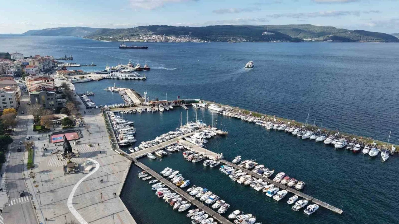 Çanakkale'de mavi denizanası uyarısı: Temastan kaçının