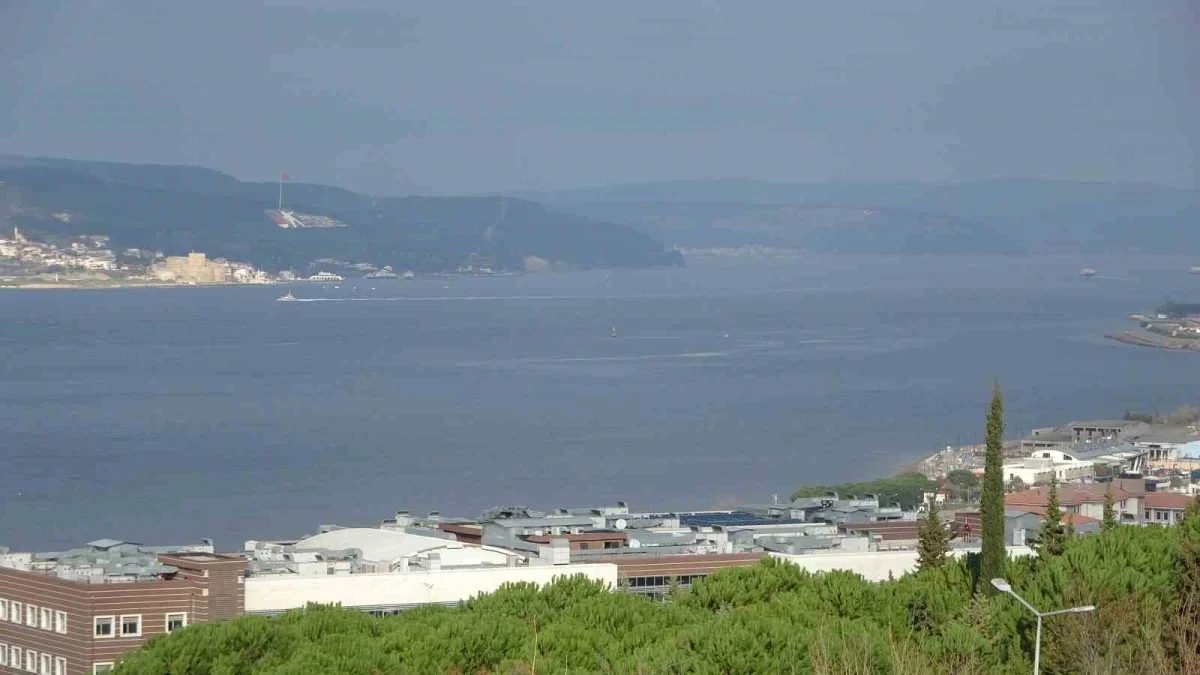 Çanakkale'de mavi denizanası uyarısı: Temastan kaçının