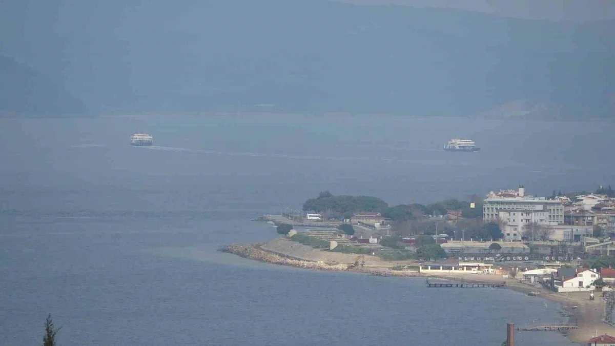 Çanakkale'de mavi denizanası uyarısı: Temastan kaçının