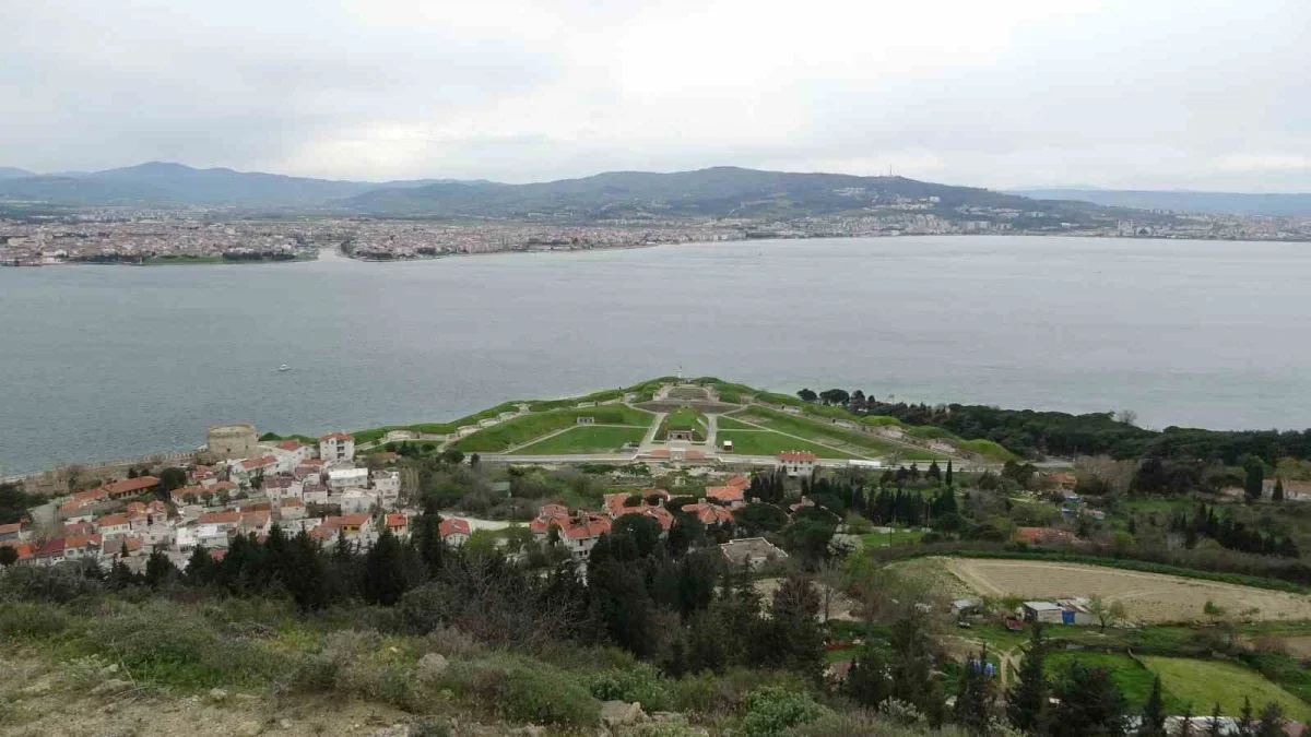 Çanakkale'de mavi denizanası uyarısı: Temastan kaçının