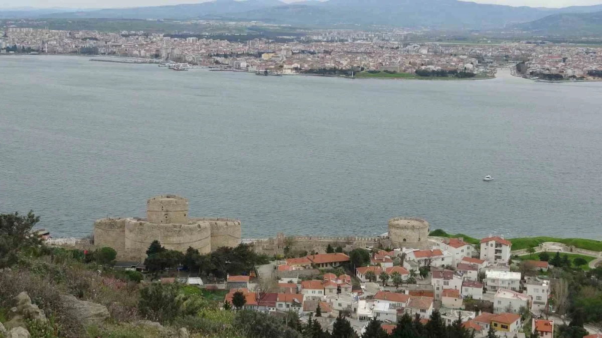 Çanakkale'de mavi denizanası uyarısı: Temastan kaçının
