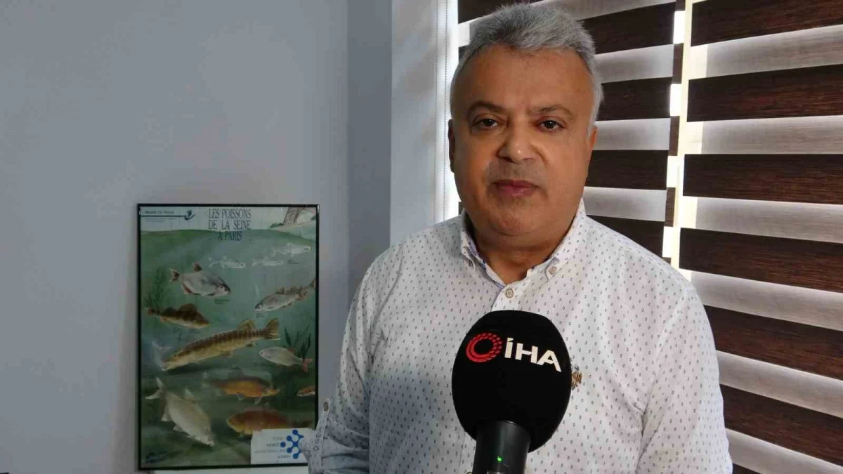 Çanakkale'de mavi denizanası uyarısı: Temastan kaçının