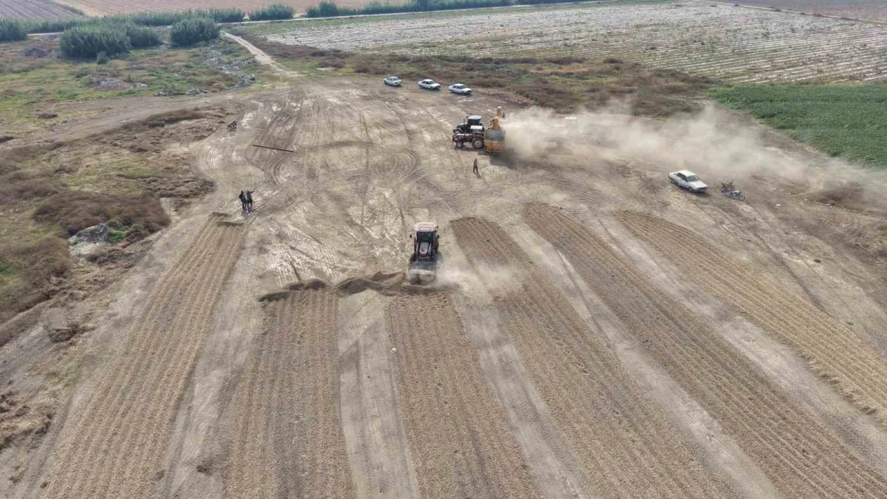 Adana yer fıstığında fiyat düştü: Tüccar alımı iddiası