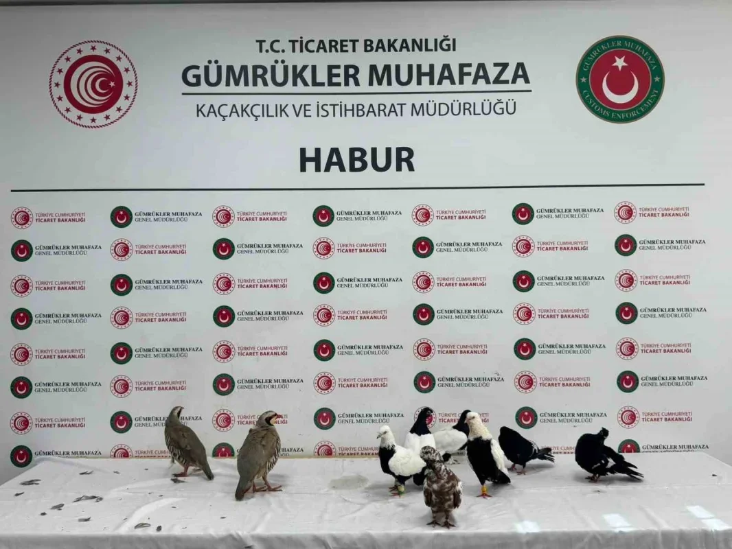 Gümrüklerde kaçakçılık operasyonları: 81,97 milyar TL yakalama