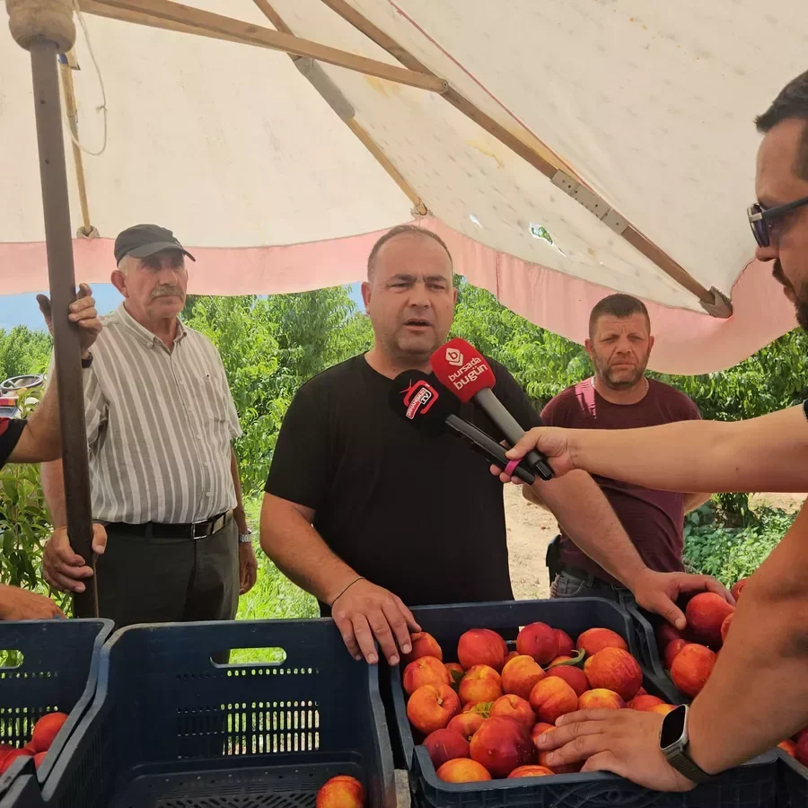 Tarladan markete uzanan fiyat zincirine soruşturma: 109 adreste arama