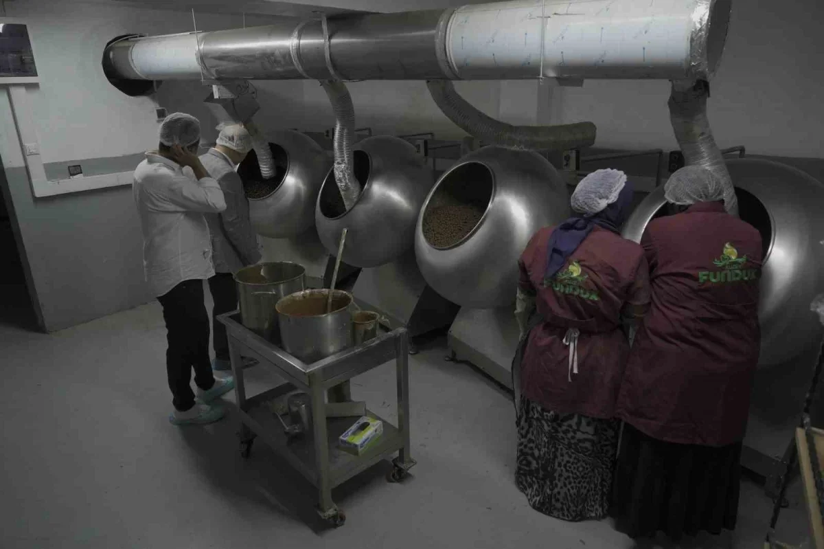Paralı köyü fındık kooperatifi Sakarya Çikolatası'nı ihraç etti