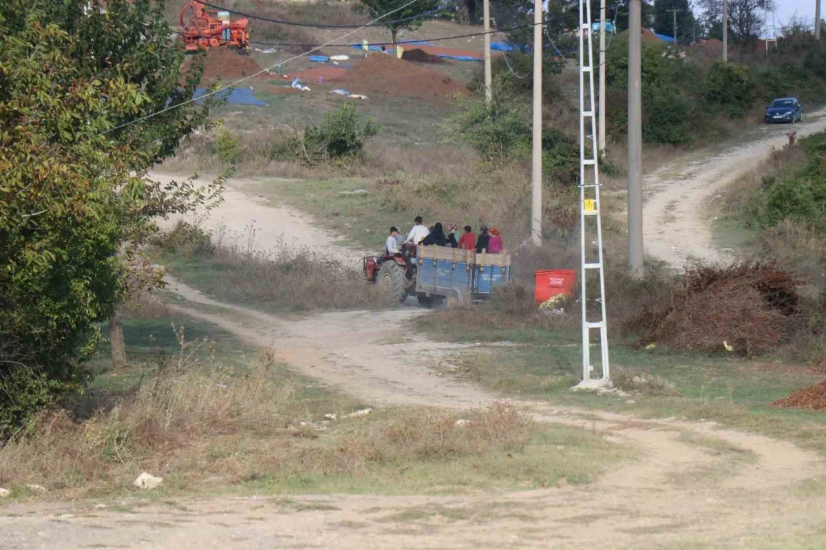 Paralı köyü fındık kooperatifi Sakarya Çikolatası'nı ihraç etti