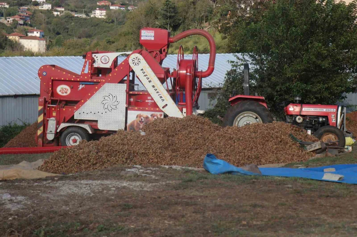 Paralı köyü fındık kooperatifi Sakarya Çikolatası'nı ihraç etti