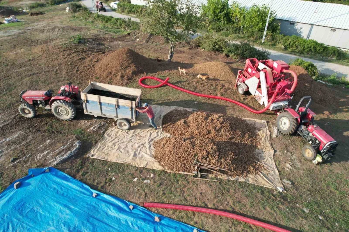Paralı köyü fındık kooperatifi Sakarya Çikolatası'nı ihraç etti