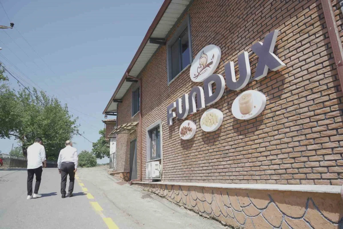 Paralı köyü fındık kooperatifi Sakarya Çikolatası'nı ihraç etti