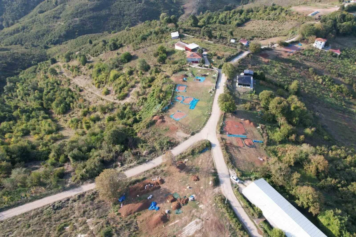 Paralı köyü fındık kooperatifi Sakarya Çikolatası'nı ihraç etti