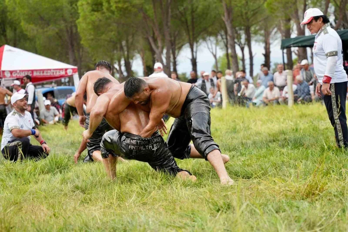 5. Ulubeyler Yağlı Güreşleri Gömeç'te yoğun ilgi gördü