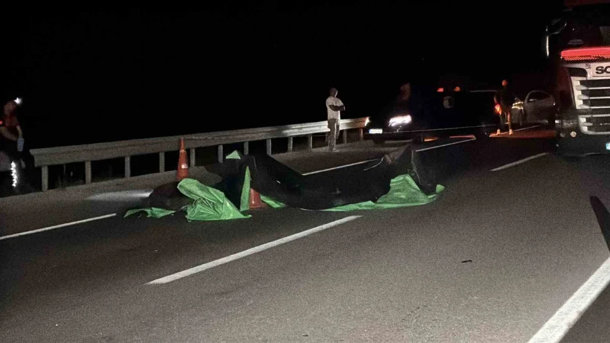 Çanakkale-Ezine yolunda Yusuf Çelik'e çarpan sürücü aranıyor