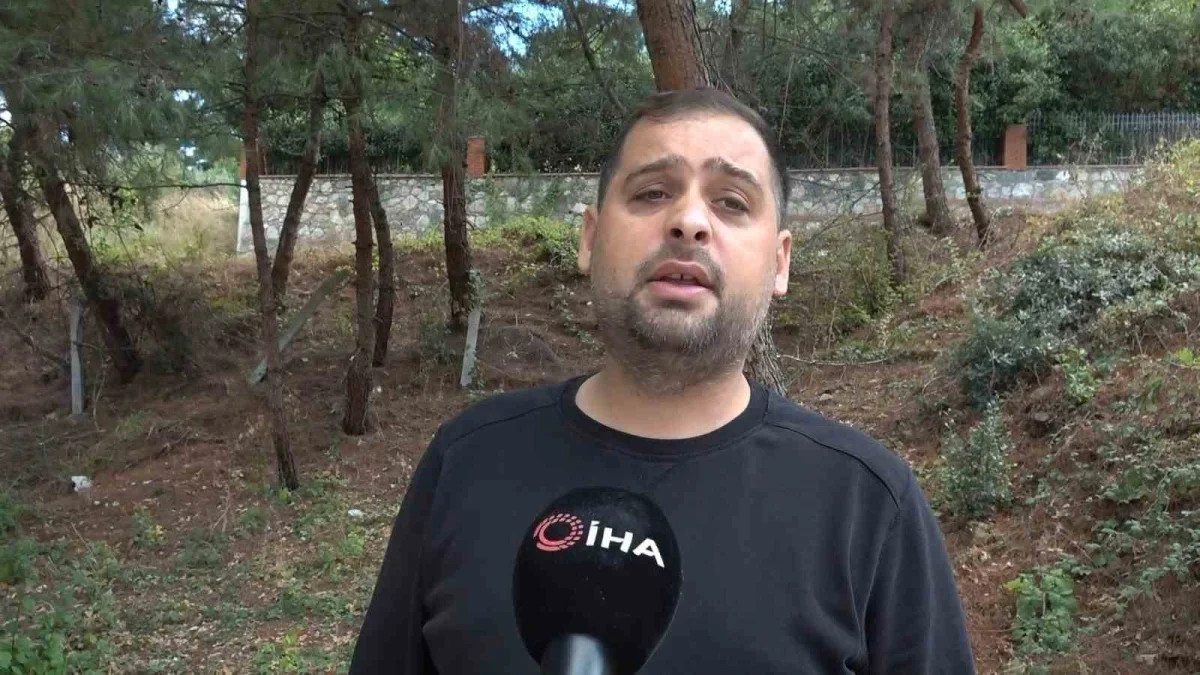 Bursa Nilüfer'de 3 ayı görüldü: Çalı Mahallesi'ne uyarı