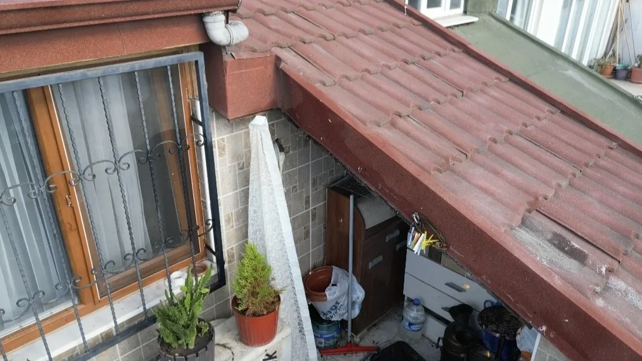 Sultangazi'de arı istilası: Çatı katındaki aile hastanelik oldu
