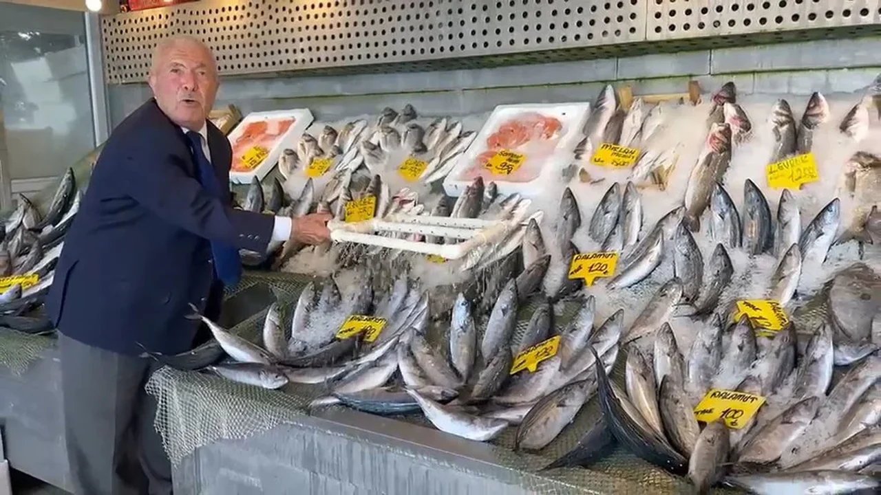 İstanbul'da hamsi 200 lira: Palamut 100 liradan satışta