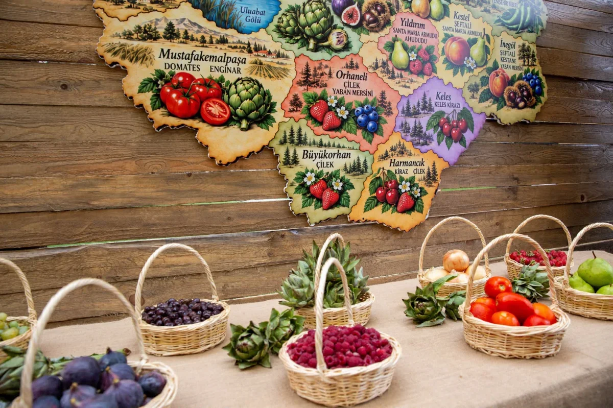 Bursa Gastronomi Festivali'nde 165 stant ve üç gün etkinlik