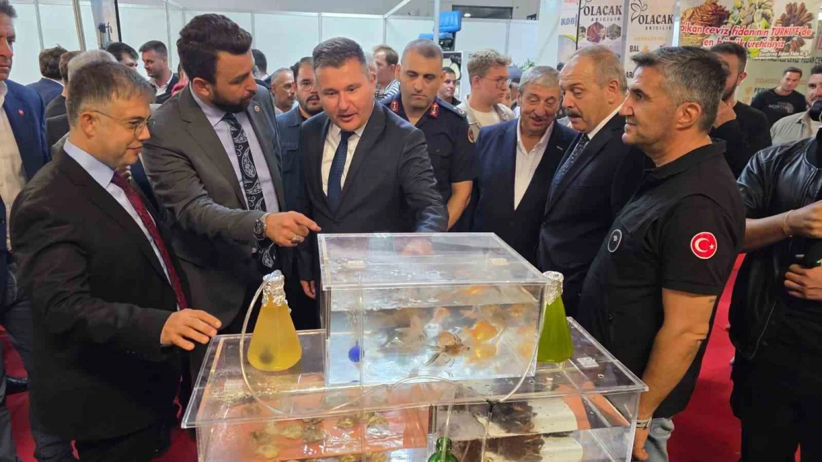 Bandırma Tarım ve Hayvancılık Fuarı ikinci kez açıldı