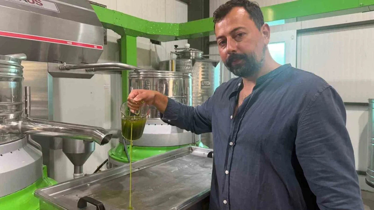 İznik ilk hasat zeytinyağına Avrupa ve ABD'den yoğun talep