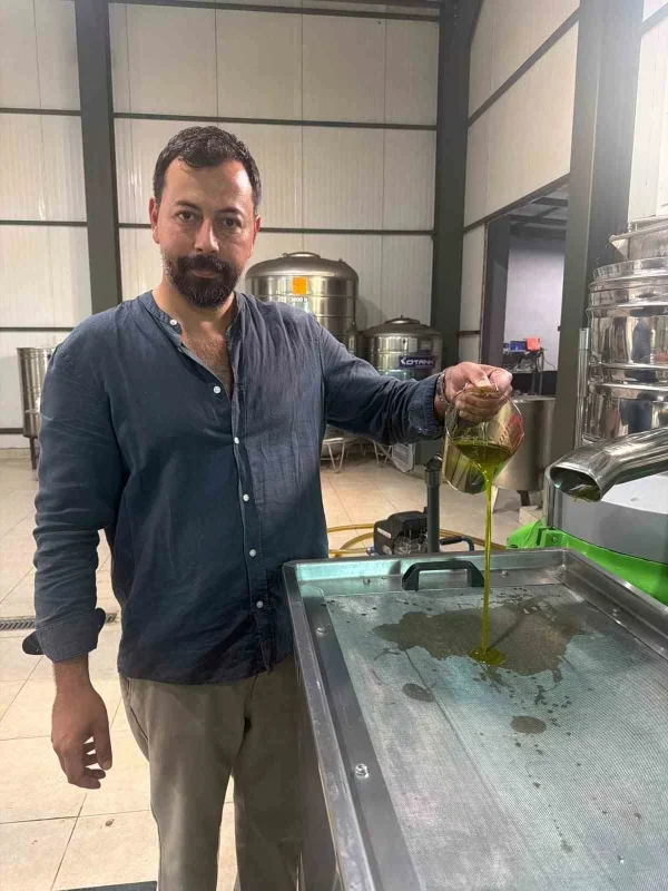 İznik ilk hasat zeytinyağına Avrupa ve ABD'den yoğun talep