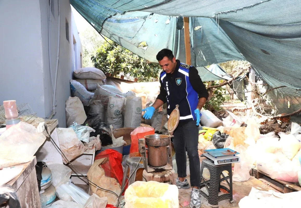 Aksu'da kaçak işletmeye denetim: 535 kilo keçiboynuzu alındı