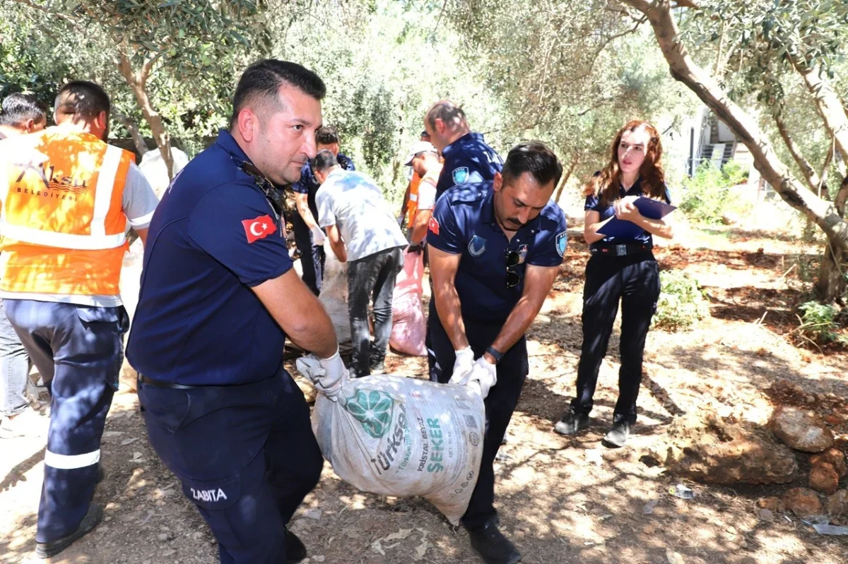 Aksu'da kaçak işletmeye denetim: 535 kilo keçiboynuzu alındı