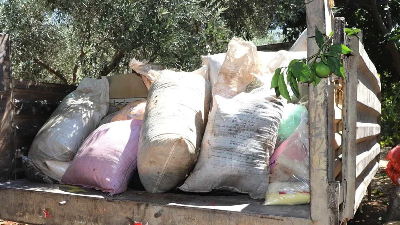 Aksu'da kaçak işletmeye denetim: 535 kilo keçiboynuzu alındı