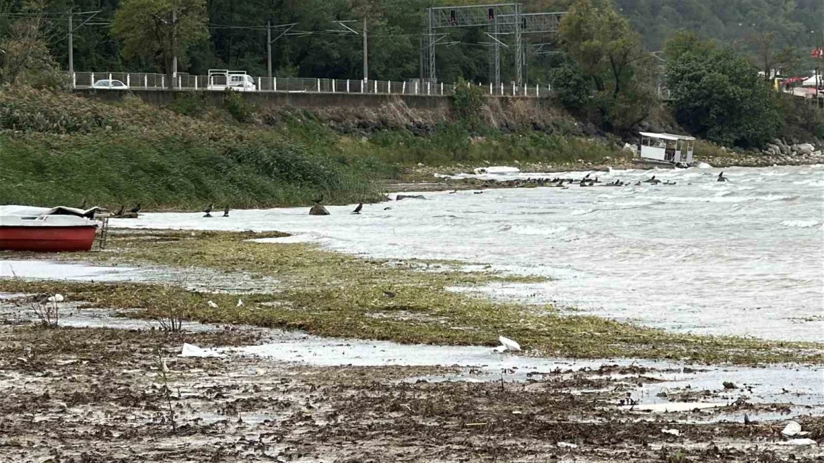 Sapanca Gölü su seviyesi yağışlara rağmen 29,56 metreye indi