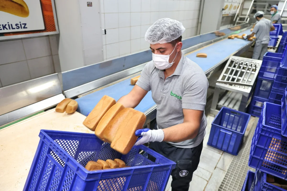 Bursa Keles'te üretilen siyez buğdayı ekmeği 55 TL'ye satılıyor