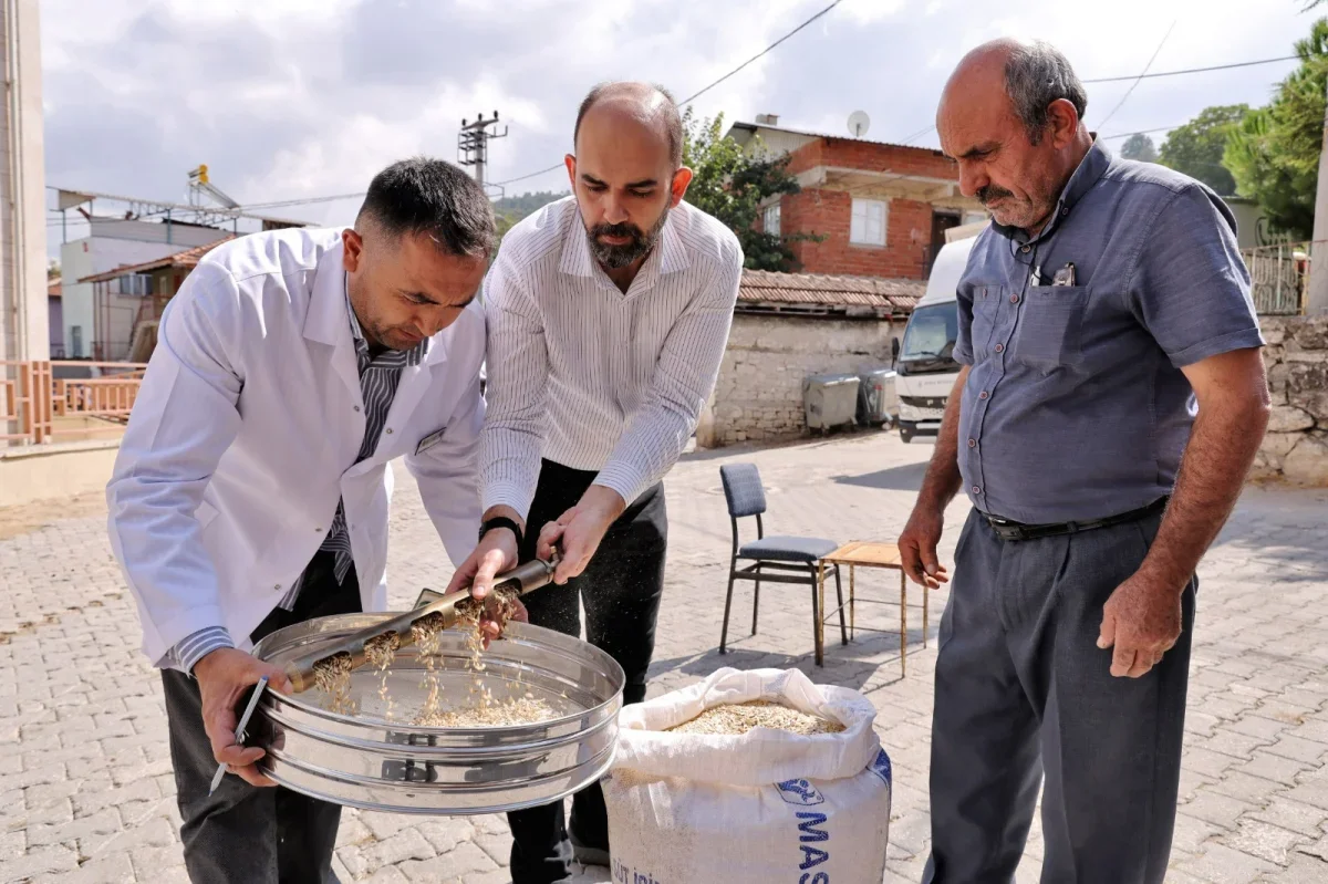Bursa Keles'te üretilen siyez buğdayı ekmeği 55 TL'ye satılıyor