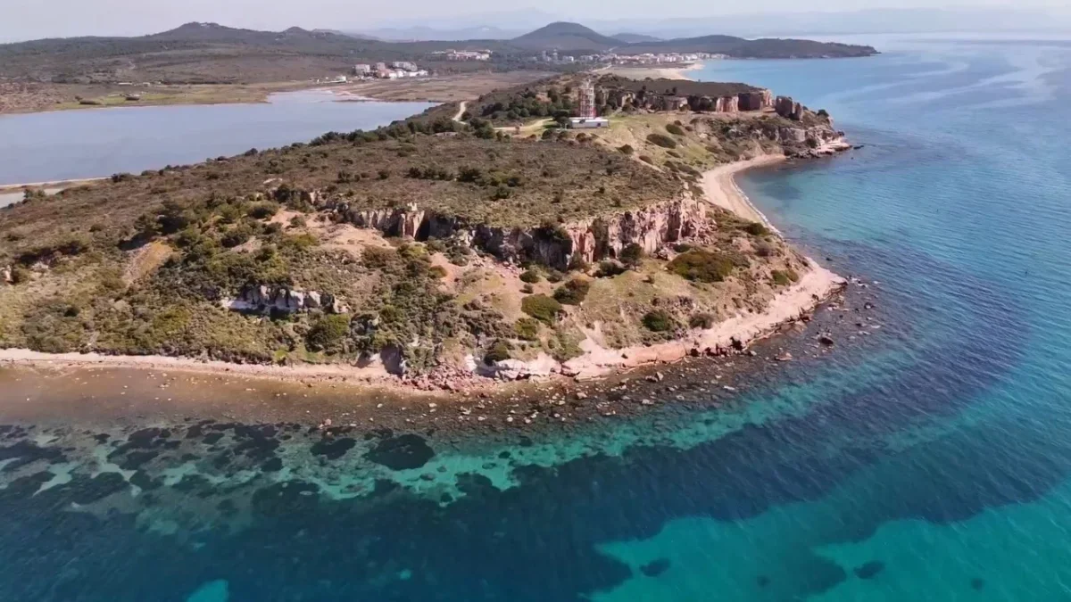 Ayvalık Badavut Sahili'nde kum zambaklarına ahşap koruma