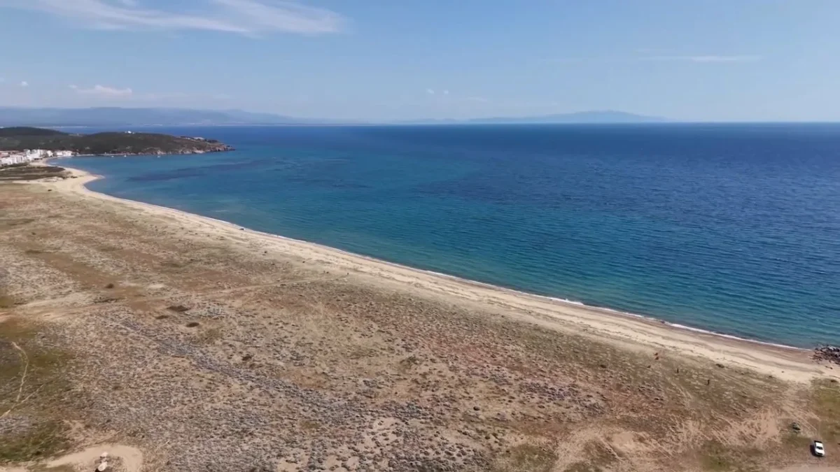 Ayvalık Badavut Sahili'nde kum zambaklarına ahşap koruma