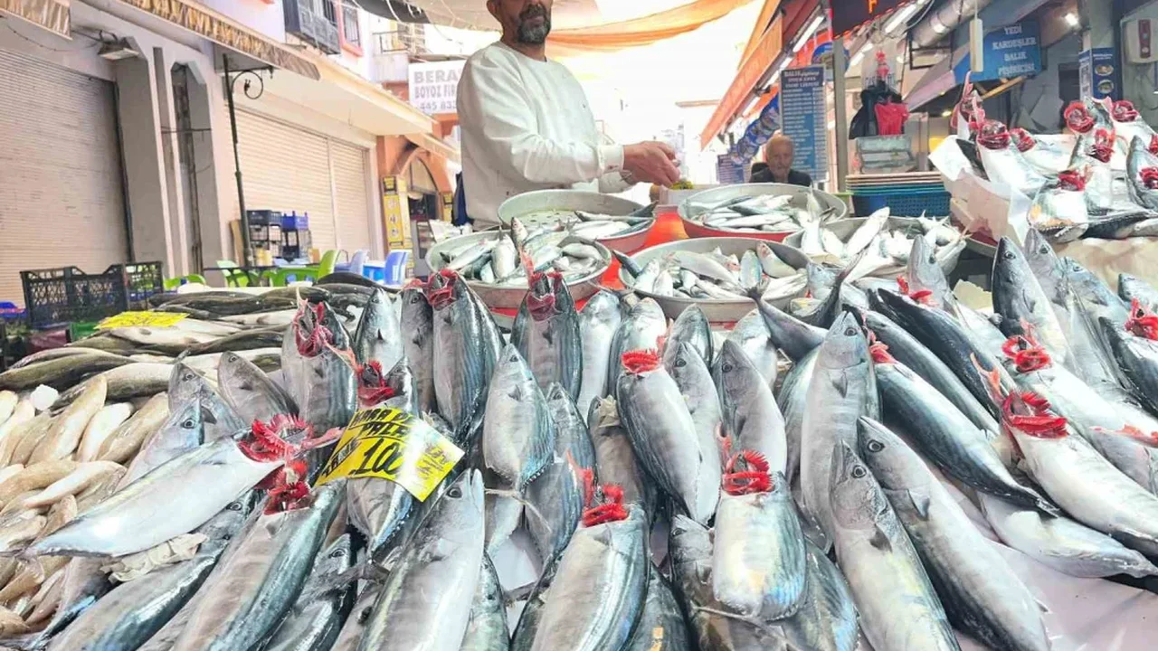 İzmir'de palamut bolluğu: Tanesi 100 liradan satılıyor