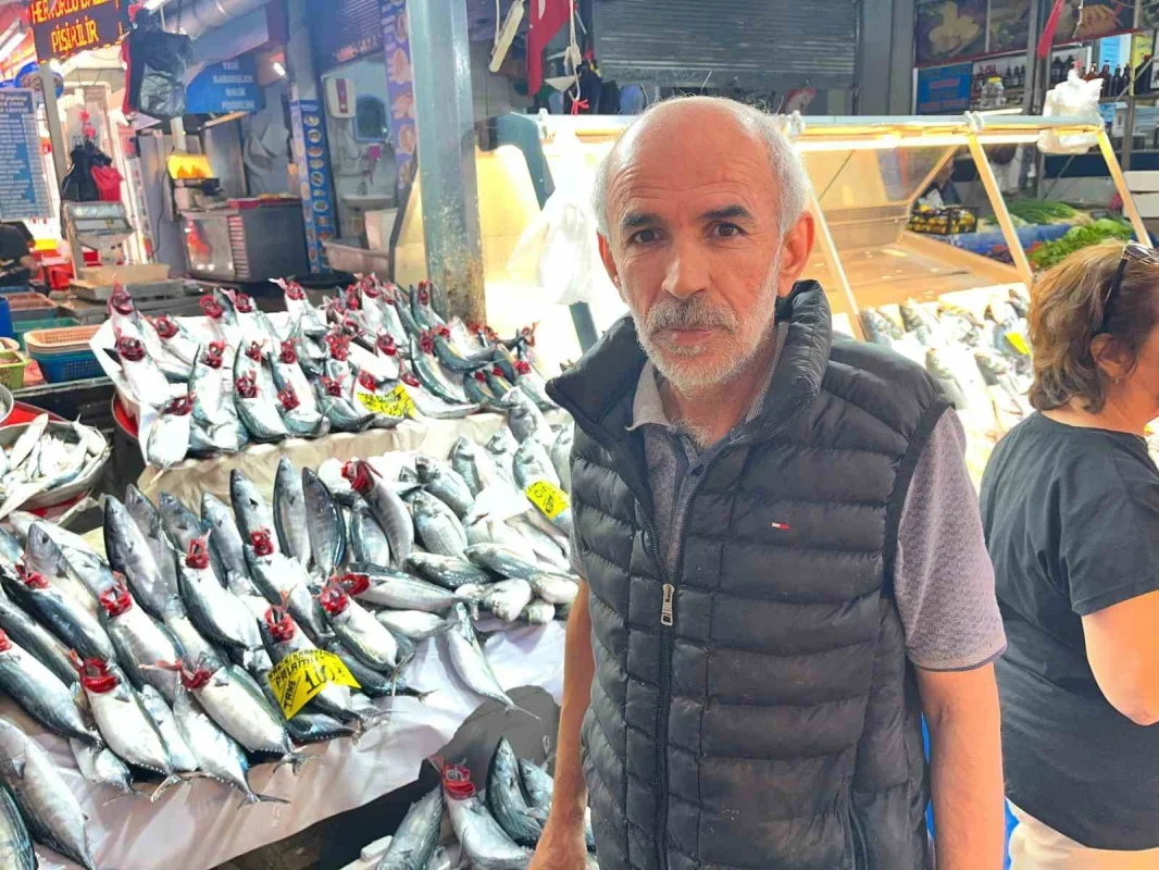 İzmir'de palamut bolluğu: Tanesi 100 liradan satılıyor