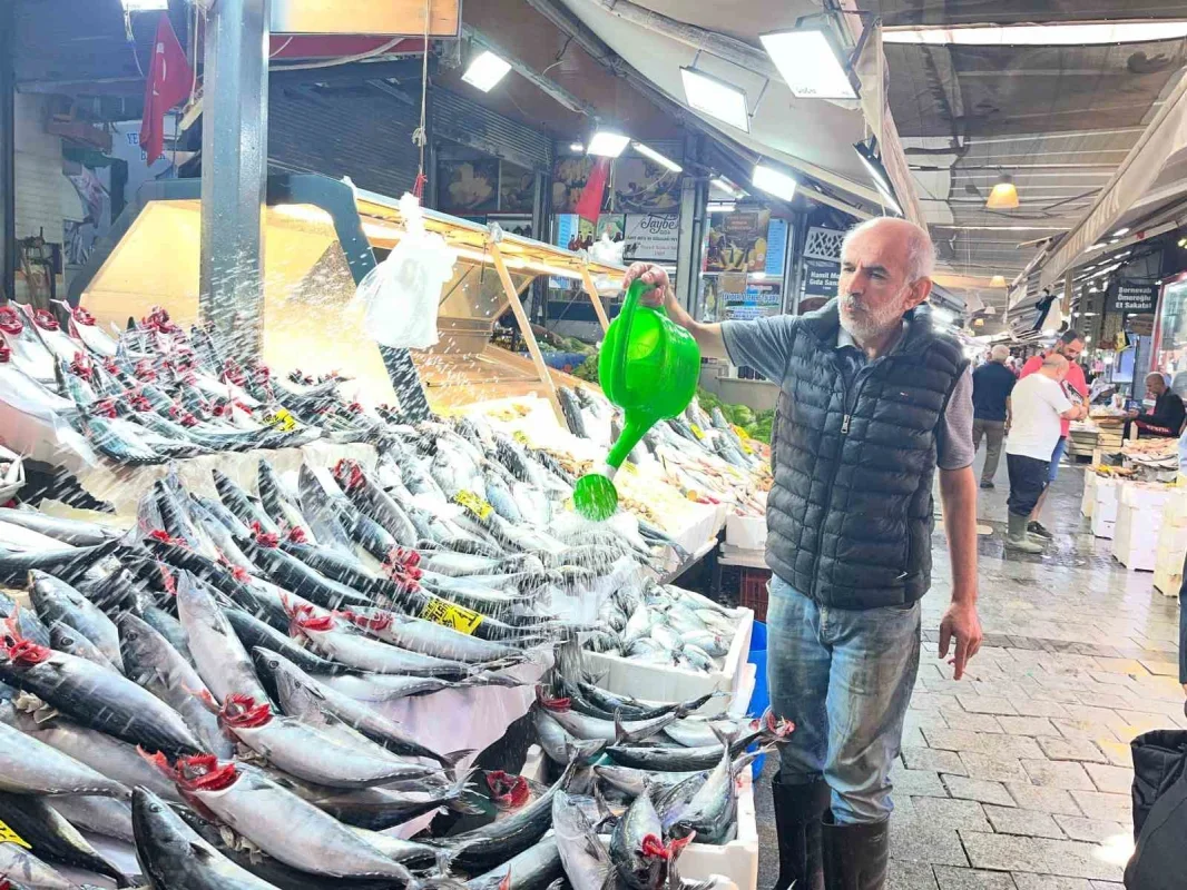 İzmir'de palamut bolluğu: Tanesi 100 liradan satılıyor