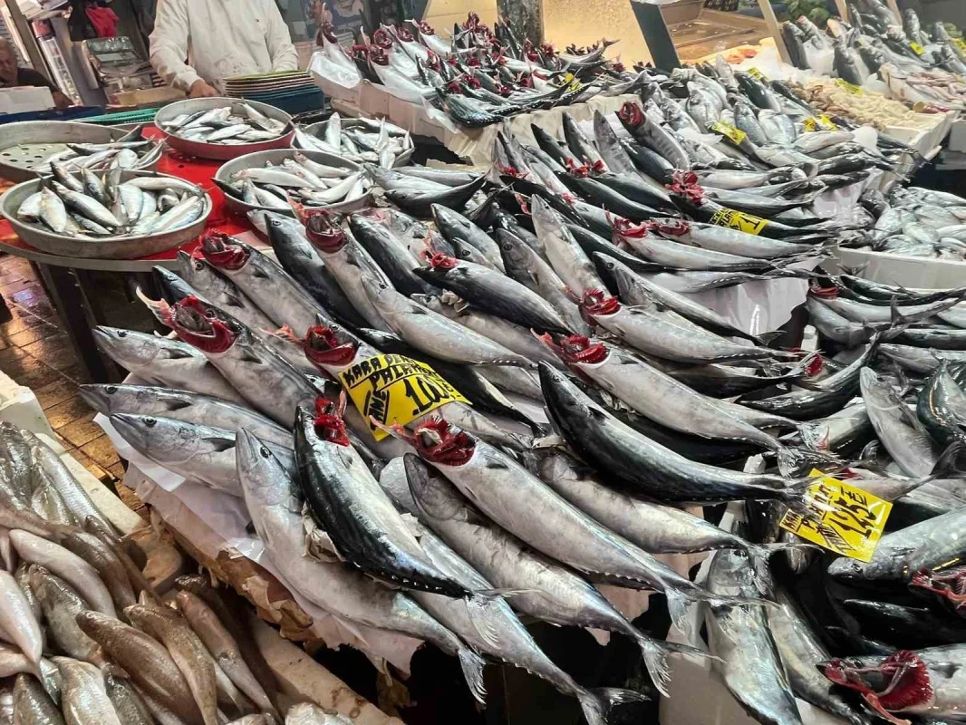 İzmir'de palamut bolluğu: Tanesi 100 liradan satılıyor