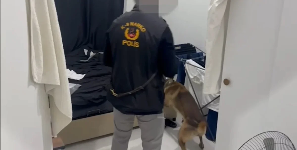 Edirne'de uyuşturucu operasyonu: 4 şüpheliye işlem yapıldı