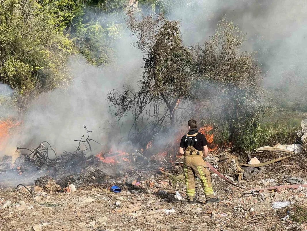 Mudanya orman yangını Yunus ekiplerinin dikkatiyle büyümeden söndü